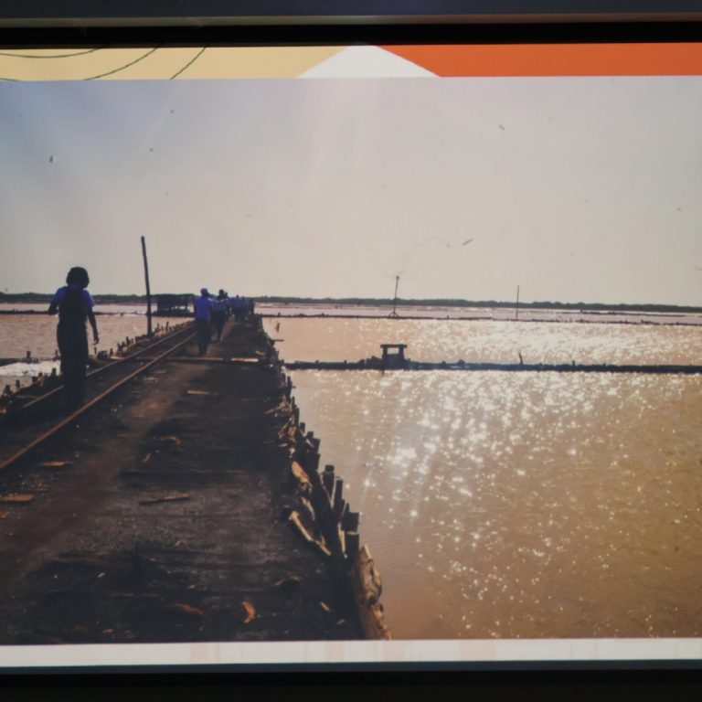 Foto ganadora del tercer lugar